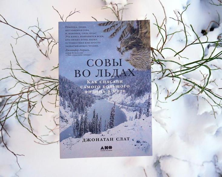 «Совы во льдах» — книга про спасение самого большого филина в мире / Книги и комиксы / iXBT Live